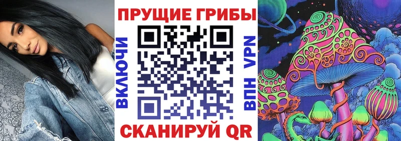 Галлюциногенные грибы Cubensis  закладки  Елизово 